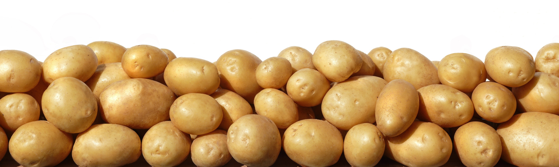 Crop storage humidification & humidity control Crop storage humidification & humidity control